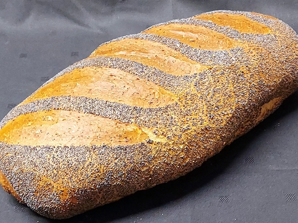 Vloertarwe met maanzaad